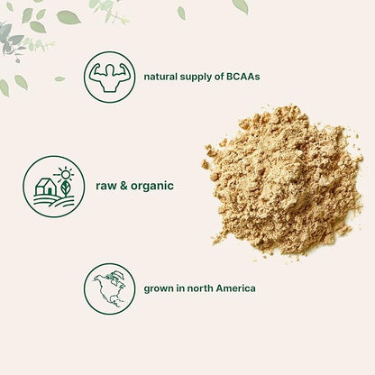 Micro Ingredients North America Grown, Organic Pea Protein Powder, 1KG (2.2 Pounds) | Plant-Based