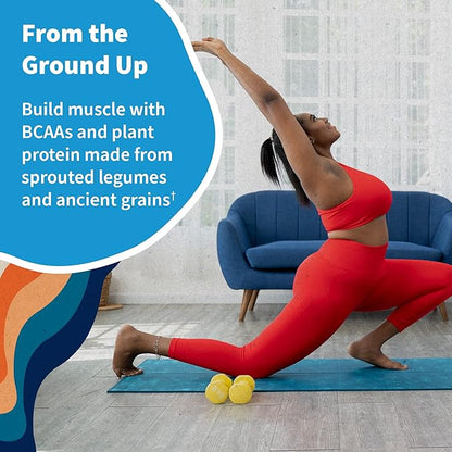Garden of Life Protein Powder, Vegan Protein Powder, BCAA, Probiotics & Digestive Enzymes, Gluten &