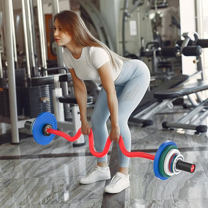 47" Olympic EZ Curl Bar 500-lbs Capacity Steel Barbell Suitable for 2" Weight Plates, 2-Inch Curl