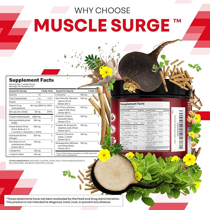Clean Nutra Creatine Powder for Men + HMB BCAA L Arginine L Citrulline Tongkat Ali Saw Palmetto