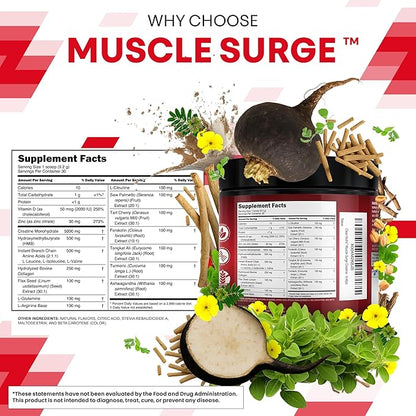 Clean Nutra Creatine Powder for Men + HMB BCAA L Arginine L Citrulline Tongkat Ali Saw Palmetto