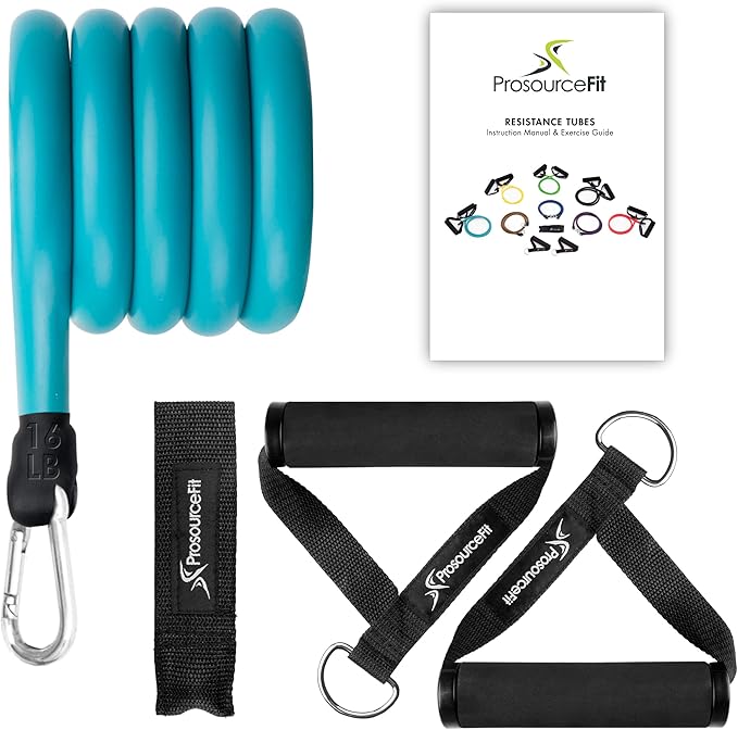 ProsourceFit Single Stackable Resistance Bands with Door Anchor and Exercise Guide, 5-8 LB, Heavy
