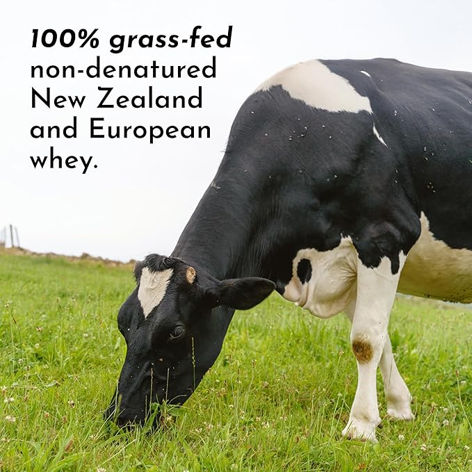 JUST INGREDIENTS French Vanilla Protein Powder ??30 Serving Bag ??Grass-Fed Whey & Plant Protein