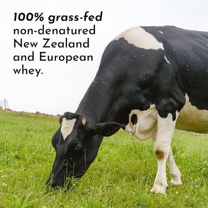 JUST INGREDIENTS French Vanilla Protein Powder ??30 Serving Bag ??Grass-Fed Whey & Plant Protein