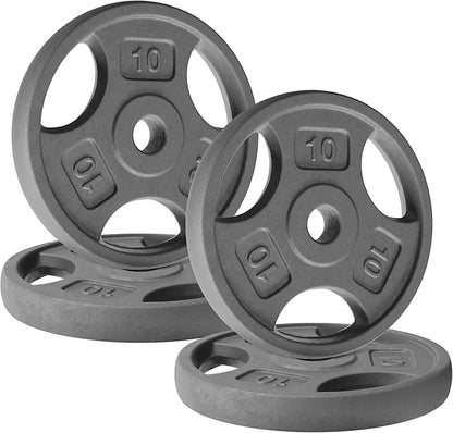 Yes4All Standard 1-Inch Grip Weight Plates, Cast Iron with Multiple Sizes from 2.5 lb to 35 lb for