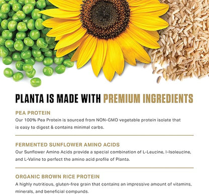 Ambrosia Planta - Premium Plant-Based Protein (Peanut Butter Banana)