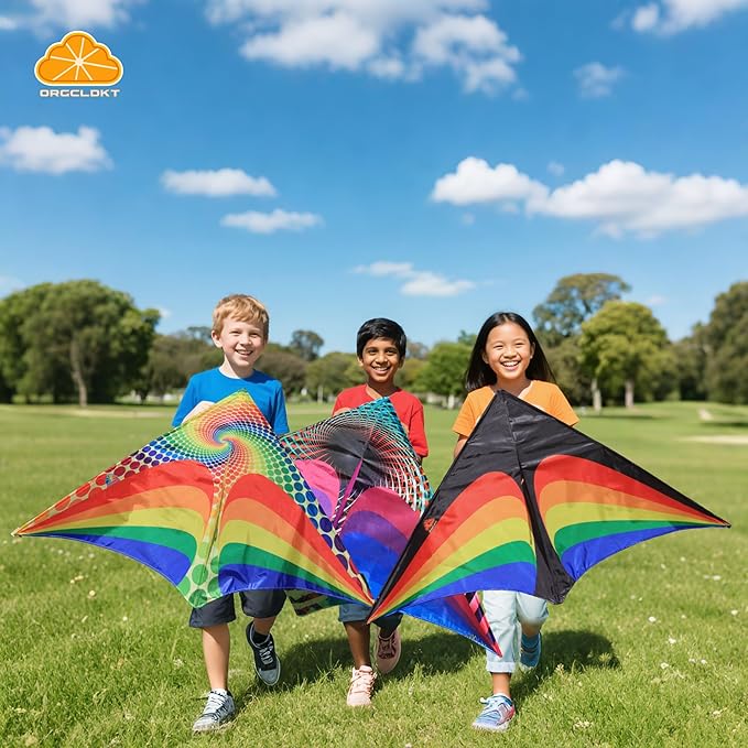 ORGCLDKT-Rainbow Cruiser Delta Kite, Kites for Kids Ages 8-12,4-8,Boys,Girls,Kites for