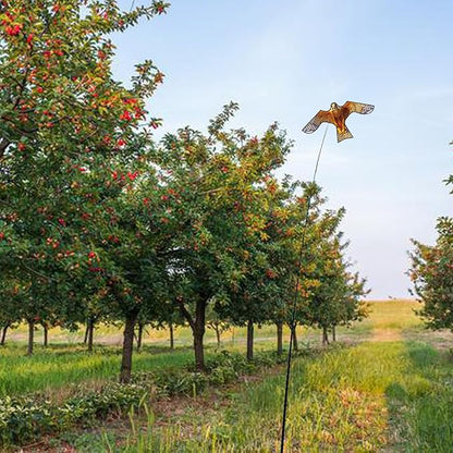 HENGDA KITE Bird Hawk Flying Kite Without Pole for Crops Farm Protector Bird Scarer Flying Kite