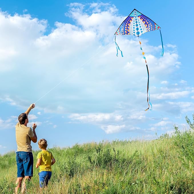 HONBO Large Delta Kite for Kids & Adults,Extremely Easy to Fly Kite for Beach Trip,String Line