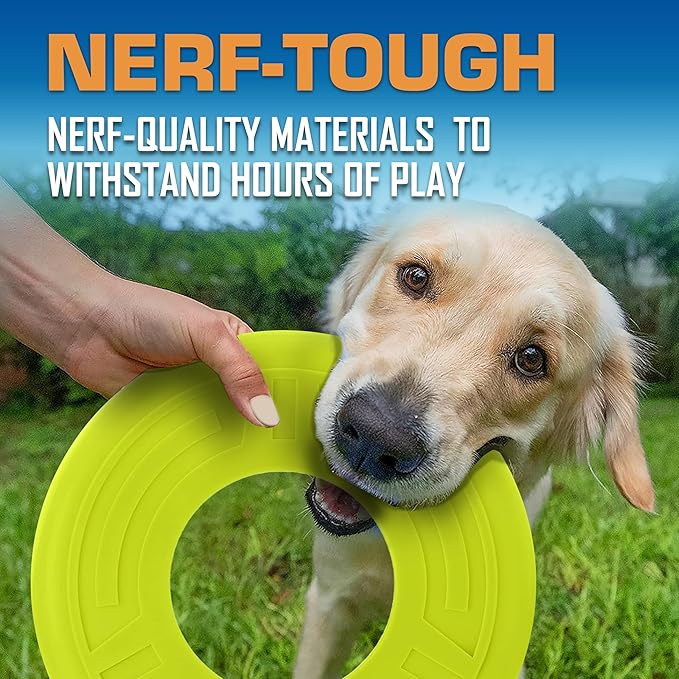 Nerf Dog Atomic Flyer Outdoor Dog Toy, 10 Inch Flying Disc Dog Fetch Toy, Rubber Dog Toy for Medium