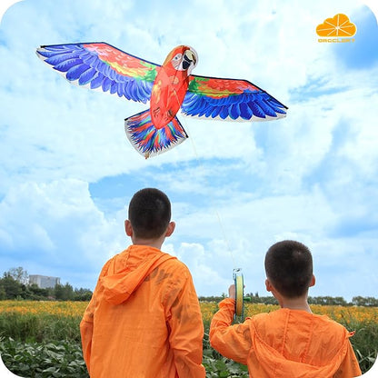 ORGCLDKT- 3D Lifelike Style Bird/Eagle Kite, Super Easy to Fly with, Ideal for Kids, Adults, Girls