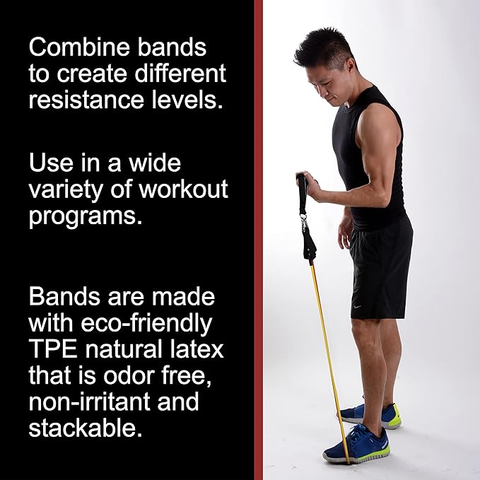 BodyForge Resistance Bands, Exercise Bands，Resistance Bands for Working Out, Work Out Bands with