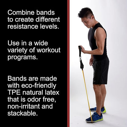 BodyForge Resistance Bands, Exercise Bands，Resistance Bands for Working Out, Work Out Bands with