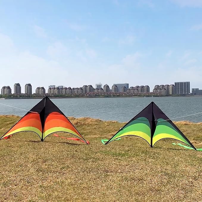 Mint's Colorful Life Delta Kite for Kids & Adults, Extremely Easy to Fly Kite, Best Kites for