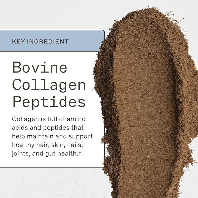 Amy Myers MD Paleo Protein Powder - Double Chocolate, 20 Servings - Collagen-Based Gut Function