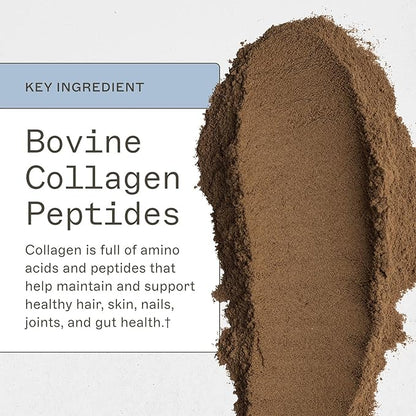 Amy Myers MD Paleo Protein Powder - Double Chocolate, 20 Servings - Collagen-Based Gut Function