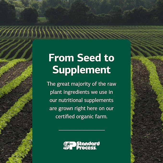 Standard Process SP Complete - Powder Supplement to Aid Muscle Growth & Repair - Immune Health