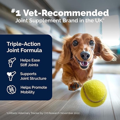 Yumove Dog Joint Supplement, Hip and Joint Supplement for Dogs with Glucosamine Chondroitin