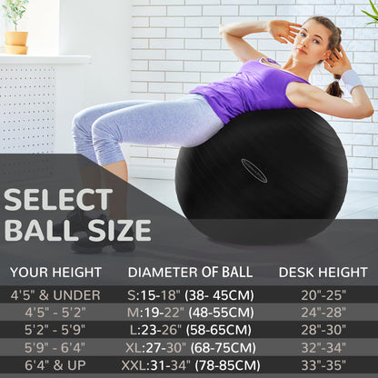 Fitvids Unisex Adult 26-inch, Exercise Ball, Black, 58-65cm L US