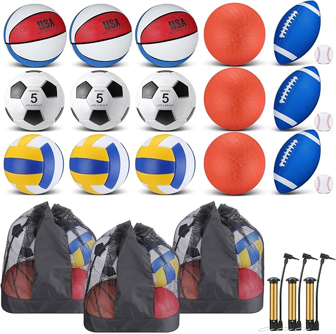 Leyndo 18 Pcs Sport Balls Bulk Set Basketball Football Volleyball Soccer Playground Baseball with