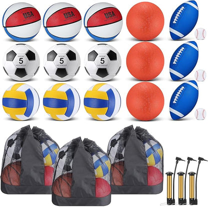 Leyndo 18 Pcs Sport Balls Bulk Set Basketball Football Volleyball Soccer Playground Baseball with