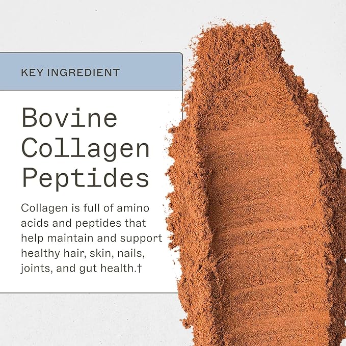 Amy Myers MD Paleo Protein Powder - Mocha Latte, 20 Servings - Collagen-Based Gut Function Support