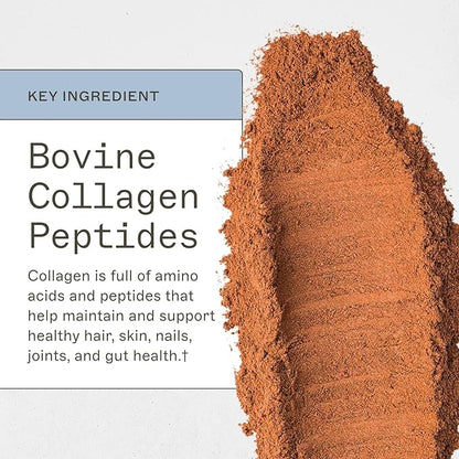 Amy Myers MD Paleo Protein Powder - Mocha Latte, 20 Servings - Collagen-Based Gut Function Support