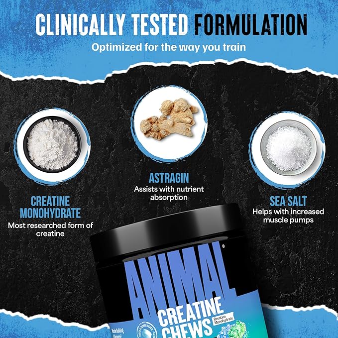 Animal Creatine Chews – Enhanced Creatine Monohydrate Chewable Tablets with AstraGin & Sea Salt