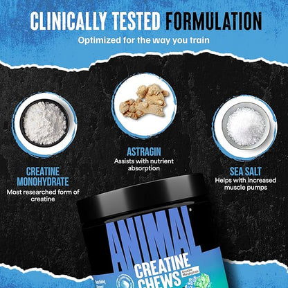 Animal Creatine Chews – Enhanced Creatine Monohydrate Chewable Tablets with AstraGin & Sea Salt