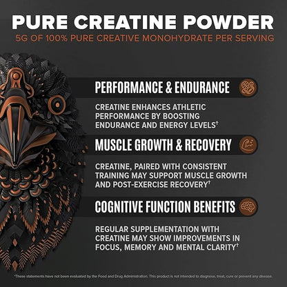Falcon Performance Vegan Protein Powder, 31g Protein, 5g Creatine, 5g BCAA, Probiotics
