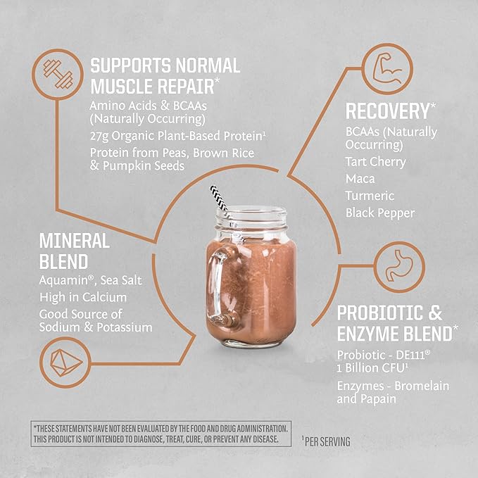 Sunwarrior Organic Plant Based Protein Powder | Vegan Organic Protein Powder with BCAAs Plus
