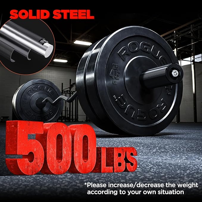 TEEMOO Olympic EZ Curl Barbell Bar, 47" Curl Bar with 2 Spring Collars,Curling bar for Weight