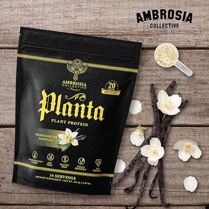 Ambrosia Planta - Premium Plant-Based Protein | Vegan & Keto Friendly | Gourmet Flavors with No