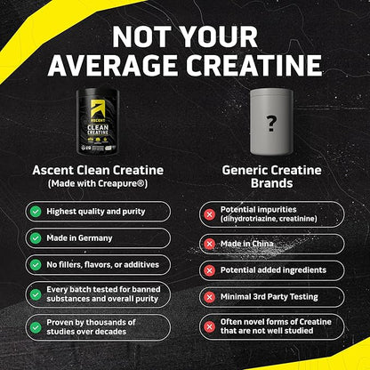 Ascent Clean Creatine Monohydrate Powder - 5G Per Serving, Creapure Creatine Supplement