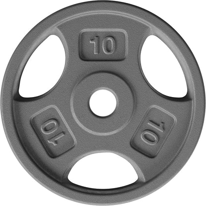 Yes4All Standard 1-Inch Grip Weight Plates, Cast Iron with Multiple Sizes from 2.5 lb to 35 lb for