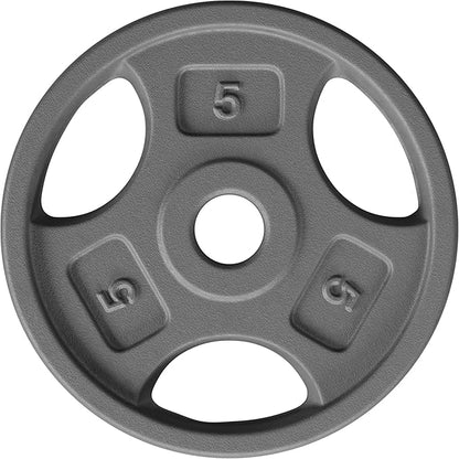Yes4All Standard 1-Inch Grip Weight Plates, Cast Iron with Multiple Sizes from 2.5 lb to 35 lb for