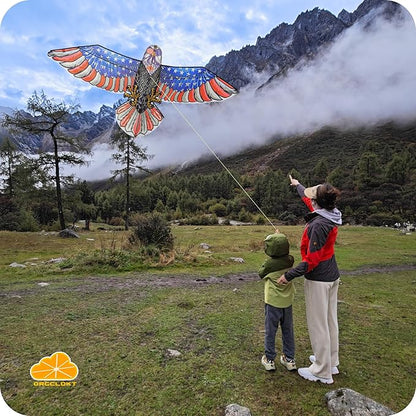 ORGCLDKT- 3D Lifelike Style Bird/Eagle Kite, Super Easy to Fly with, Ideal for Kids, Adults, Girls