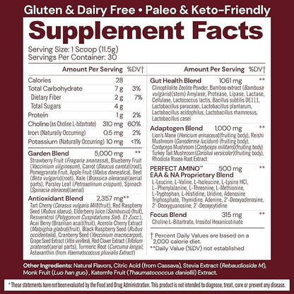 BodyHealth Reds Enhanced with PerfectAmino - Daily Superfood Smoothie Powder with Antioxidants