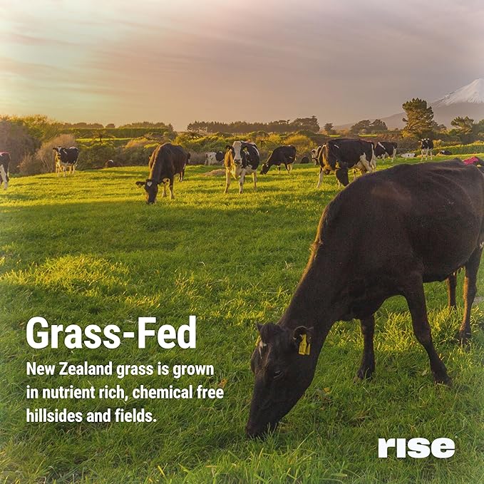 Rise Grass-Fed Whey Protein Powder - Chocolate Almond | 25g Protein No Artificial Flavors, Colors