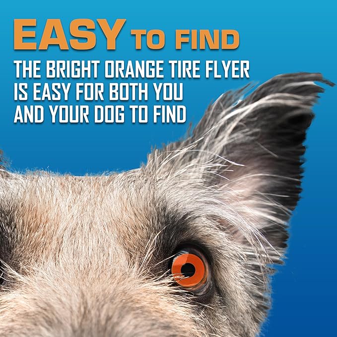 Nerf Dog Atomic Flyer Outdoor Dog Toy, 10 Inch Flying Disc Dog Fetch Toy, Rubber Dog Toy for Medium