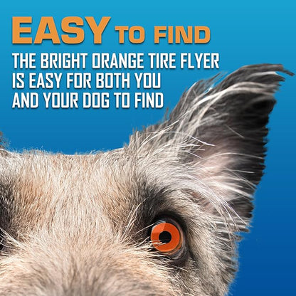 Nerf Dog Atomic Flyer Outdoor Dog Toy, 10 Inch Flying Disc Dog Fetch Toy, Rubber Dog Toy for Medium