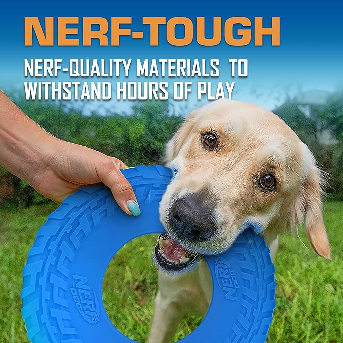 Nerf Dog Tire Flyer Outdoor Dog Toy, 10 Inch Flying Disc Dog Fetch Toy, Rubber Dog Toy for Medium