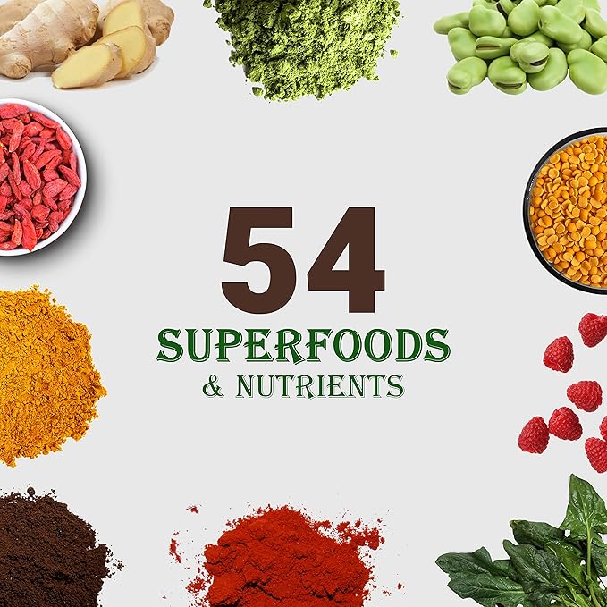 UpNourish Chocolate Vegan Protein Powder 54 Superfoods Powder,1.5 Billion CFU Probiotics 21g Plant