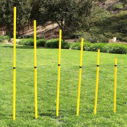 BlueDot Trading Soccer Agility Poles | Telescopic, Fixed & Collapsible Options (4, 6, 8 Piece Sets)