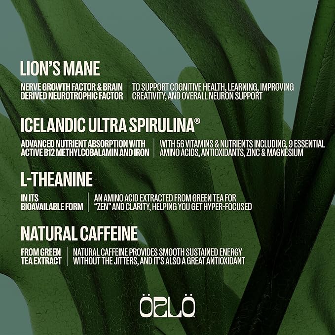 ORLO BRAIN PERFORMANCE BAR ??Vegan Protein Bars for Brain & Energy Support ??Focus & Memory, Pre &