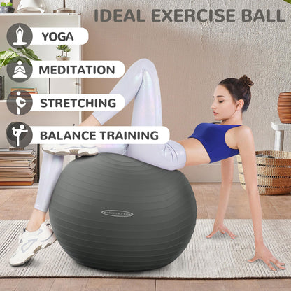 Fitvids Anti-Burst and Slip Resistant Exercise Ball Yoga Ball Fitness Ball Birthing Ball with Quick