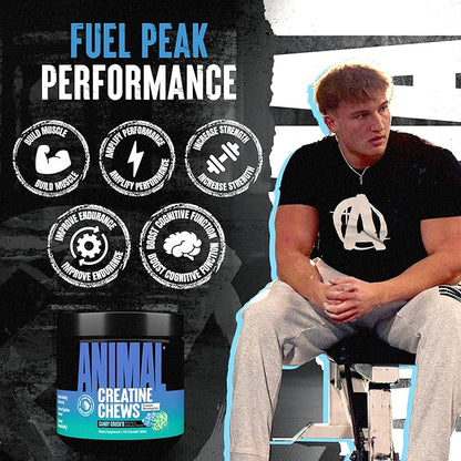 Animal Creatine Chews – Enhanced Creatine Monohydrate Chewable Tablets with AstraGin & Sea Salt