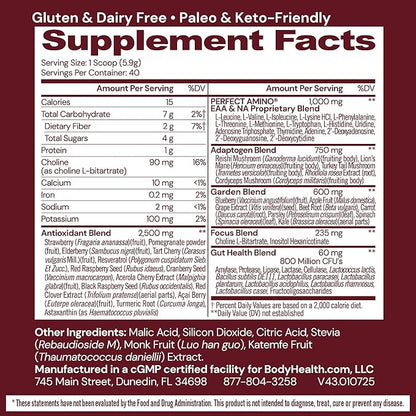 BodyHealth Reds Enhanced with PerfectAmino - Daily Superfood Smoothie Powder with Antioxidants