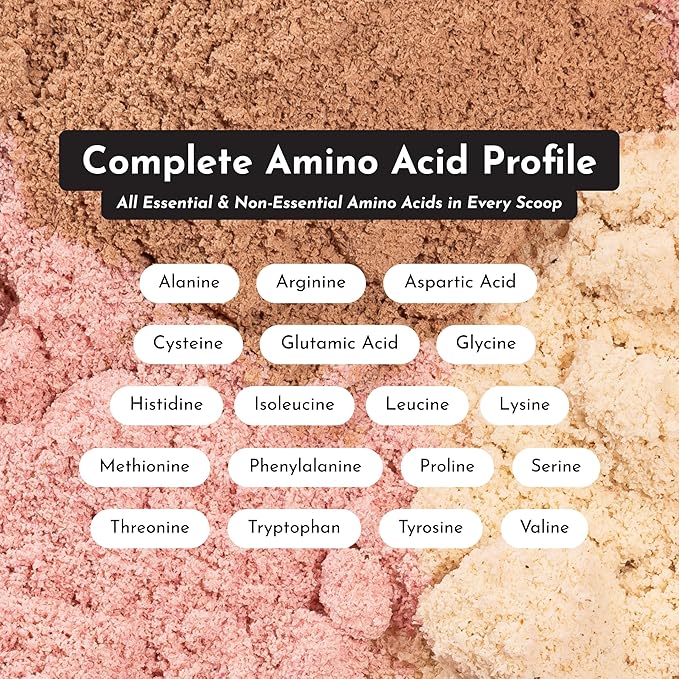 JUST INGREDIENTS Creamy Peanut Butter Chocolate Protein Powder ??30-ServingBlend with Grass-Fed